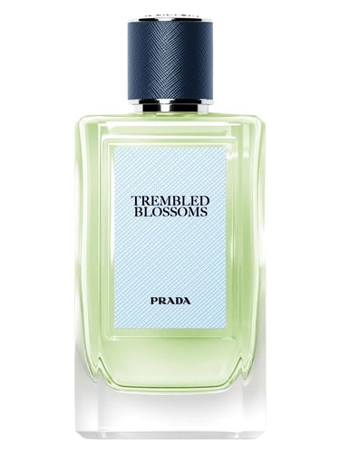 Trembled Blossoms Prada for women and men