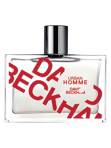 Urban Homme David Beckham