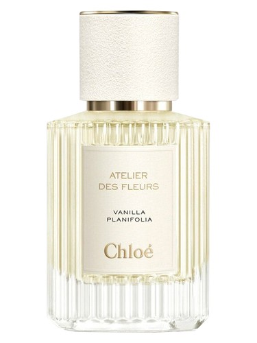Vanilla Planifolia Chloé