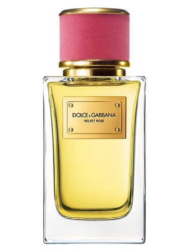 Velvet Rose Dolce&Gabbana
