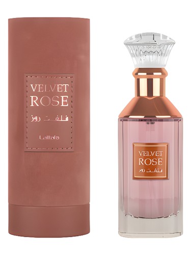 Velvet Rose Lattafa Perfumes