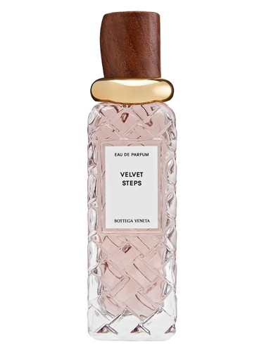 Velvet Steps Bottega Veneta for women and men