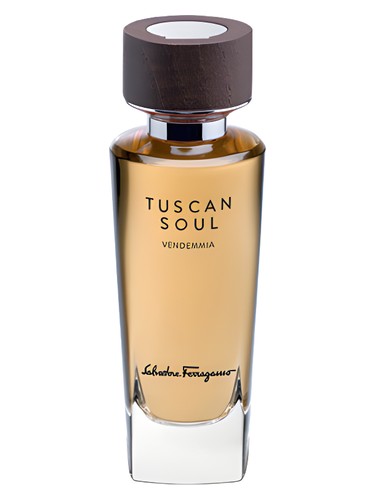 Vendemmia (2013) Salvatore Ferragamo for women and men