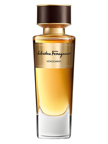 Vendemmia Salvatore Ferragamo for women and men