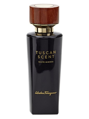 White Mimosa Salvatore Ferragamo for women and men