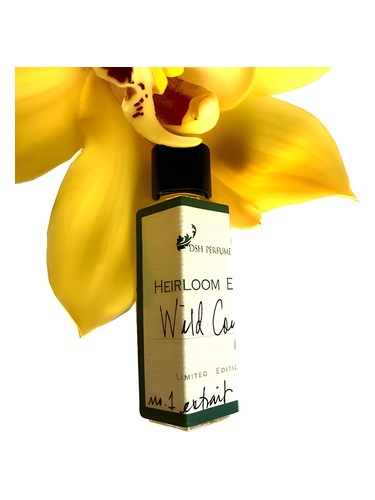 Wild Coyote DSH Perfumes for women and men