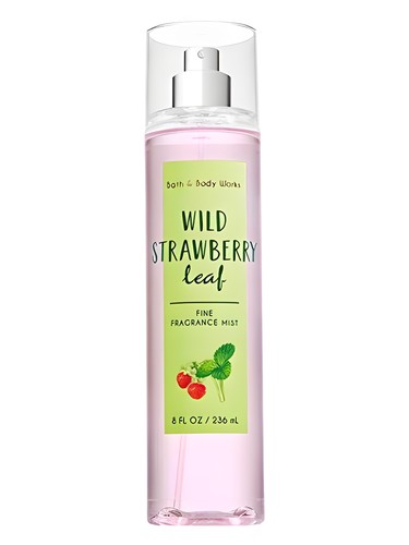 Wild Strawberry Leaf Bath & Body Works