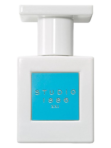 XXI Avon