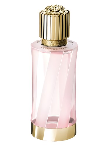 Éclat de Rose Versace for women and men