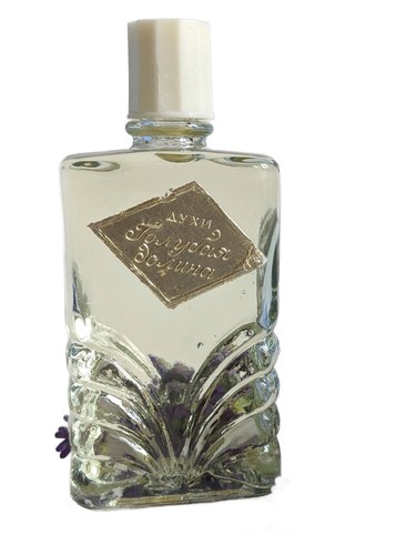Голубая долина (Blue valley) Crimean rose